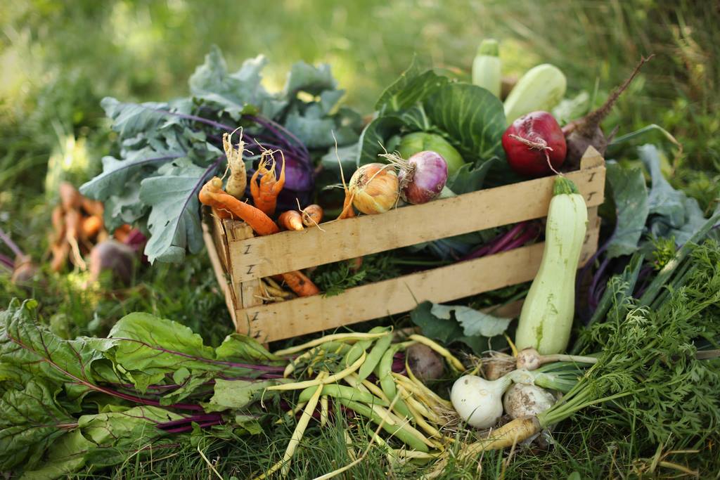 Ekološka kmetija Brhanovi