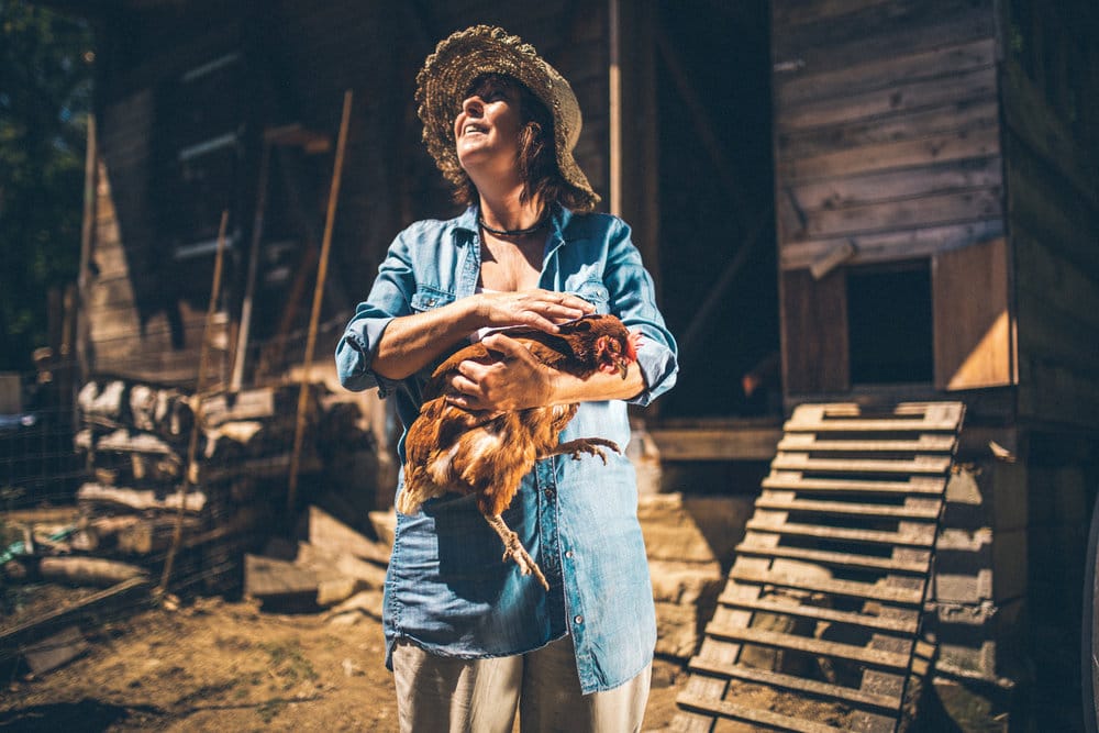 Kmetija navdih Istre