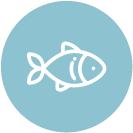 Ribe in morska hrana