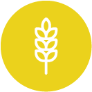 Žita in pekovski izdelki