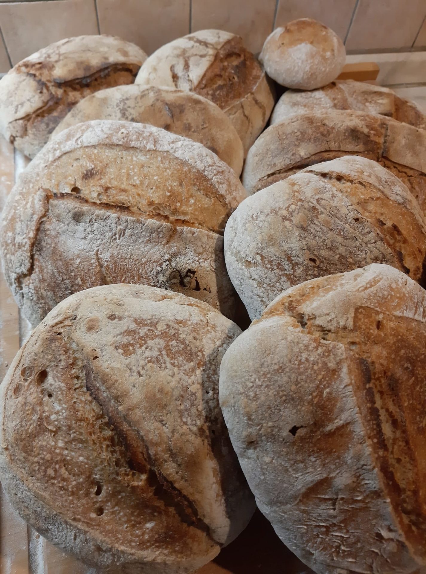 WakeNbake #sourdough