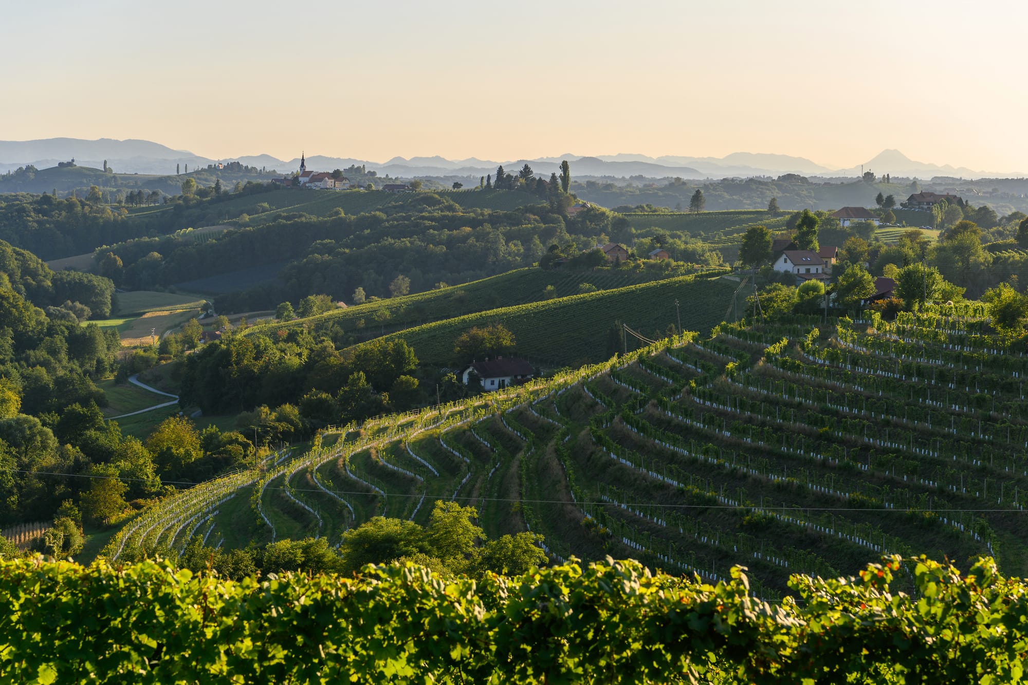 Termalna Panonska Slovenija